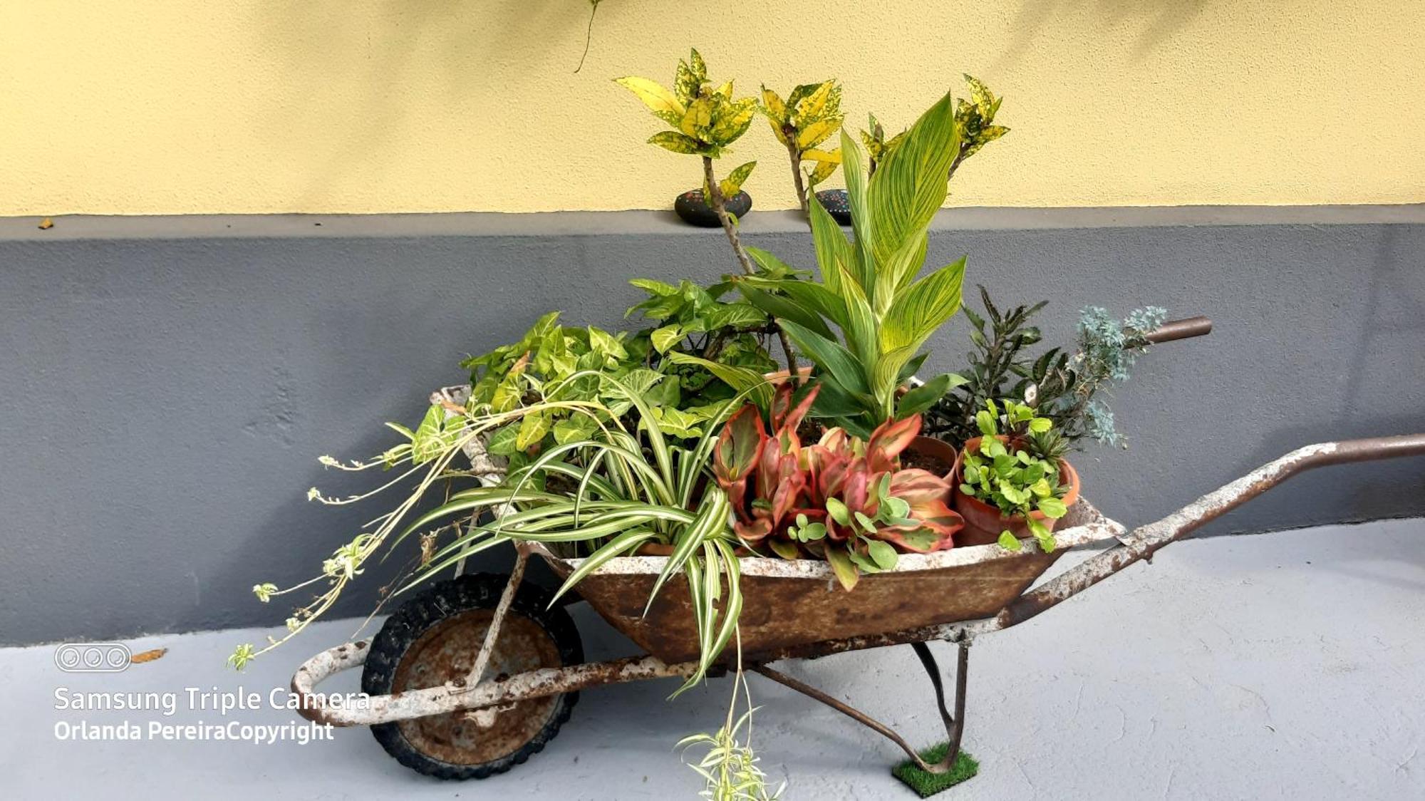 Terra Cha Cottage,Feel Home, São Vicente Eksteriør billede